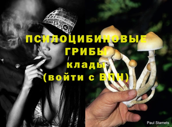 меф VHQ Дмитриев