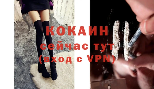 кокс Дмитровск