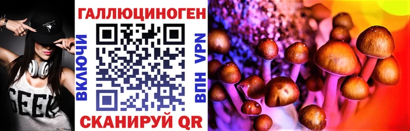 хочу наркоту  Зеленодольск  Галлюциногенные грибы MAGIC MUSHROOMS 
