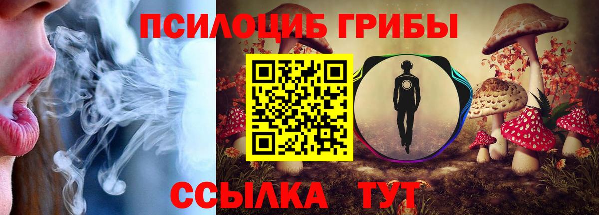 купить  сайты  Псилоцибиновые грибы MAGIC MUSHROOMS  Вход с VPN  Зеленодольск 